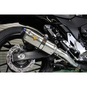 AKRAPOVIC アクラポビッチ JMCA仕様 スリップオンラインマフラー