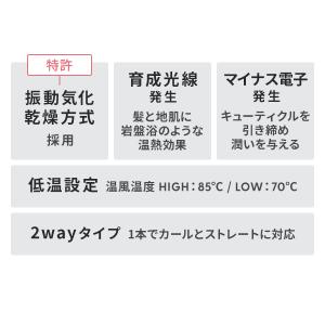 正規販売店 LOUVREDO ルーヴルドー 復...の詳細画像4