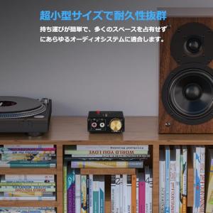Douk Audio L1Mini ステレオ ...の詳細画像1