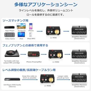 Douk Audio L1Mini ステレオ ...の詳細画像2
