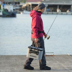 シマノ バッカンEV BK-016Q 36cm...の詳細画像3