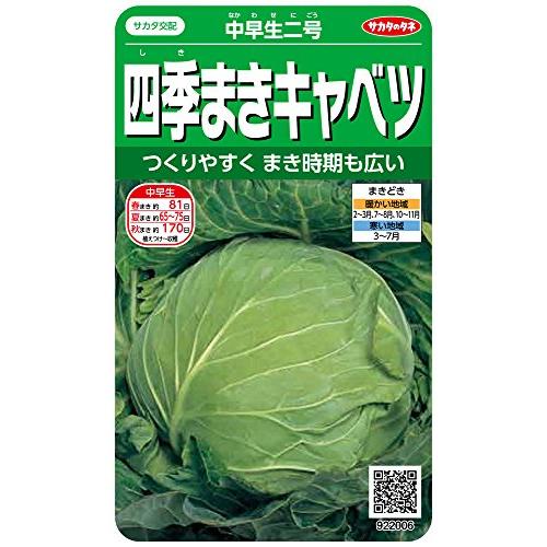 サカタのタネ 実咲野菜2006 四季まきキャベツ 中早生二号 00922006