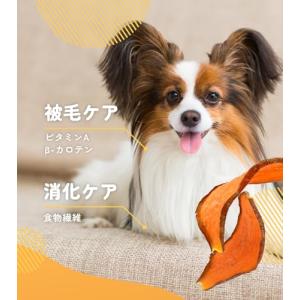 iPaw 犬 おやつ THE スイートポテト ...の詳細画像3