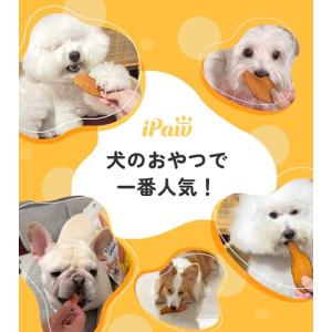 iPaw 犬 おやつ THE スイートポテト ...の詳細画像4
