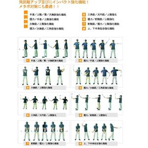 ロジャーキング ヘビー ショート アイアン 室...の詳細画像2