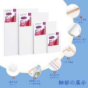 HANSILK キャンバス 張りキャンバス F...の詳細画像2