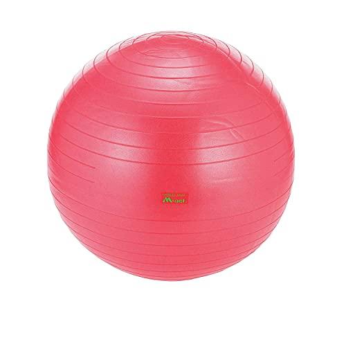 LITECライテック ストレッチボール　45cm MN119