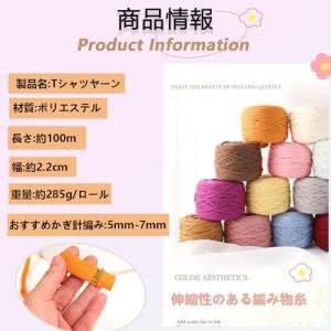 Tシャツヤーン 285g 約 100m毛糸 コ...の詳細画像1