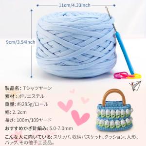 LEREATI Tシャツヤーン 285g 約 ...の詳細画像1