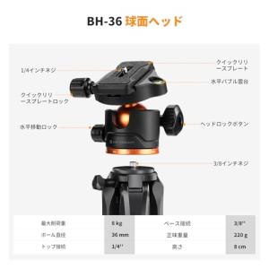 カメラ三脚 K&F CONCEPT19...の詳細画像1