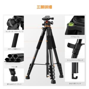 カメラ三脚 K&F CONCEPT19...の詳細画像4