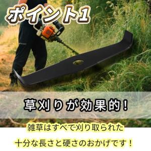 winova 草刈りブレード 替え刃 シュレッ...の詳細画像3
