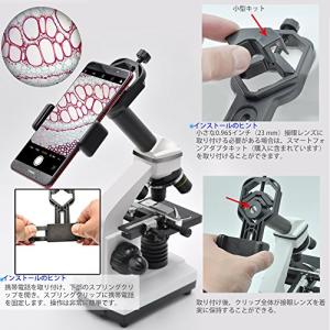 ANQILAFU ユニバーサル 携帯電話のアダ...の詳細画像4