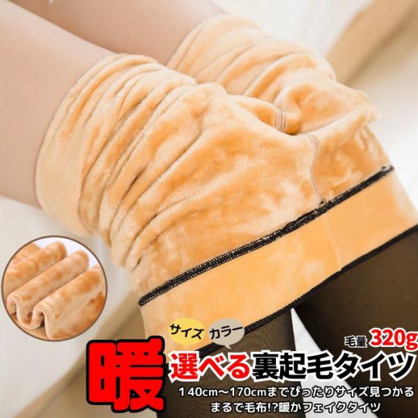 毛量320グラム 送料無料 裏起毛 タイツ 美脚 着圧タイツ ベージュ 1200デニール 極暖 フェ...
