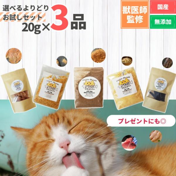 【獣医師監修】送料無料 無添加 国産 猫 おやつ 食べ比べ 20g×3袋 お試し セット プレゼント...