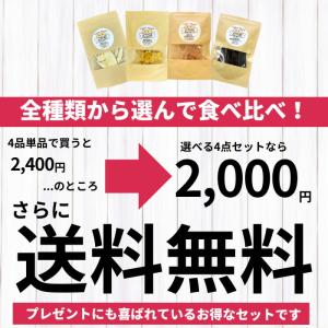 【獣医師監修】送料無料 無添加 国産 犬 おや...の詳細画像1