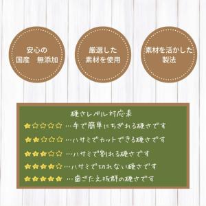 【獣医師監修】送料無料 無添加 国産 犬 おや...の詳細画像2