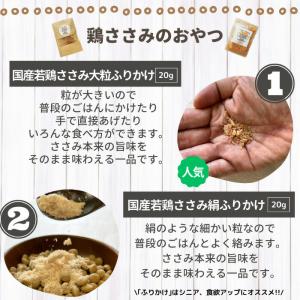 【獣医師監修】送料無料 無添加 国産 犬 おや...の詳細画像3