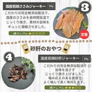 【獣医師監修】送料無料 無添加 国産 犬 おや...の詳細画像4