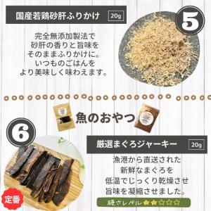 【獣医師監修】送料無料 無添加 国産 犬 おや...の詳細画像5