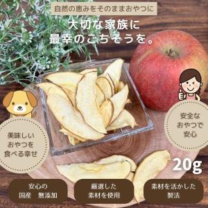 【獣医師監修】送料無料 無添加 国産 犬 おや...の詳細画像1