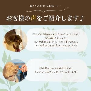 【獣医師監修】送料無料 無添加 国産 犬 おや...の詳細画像2