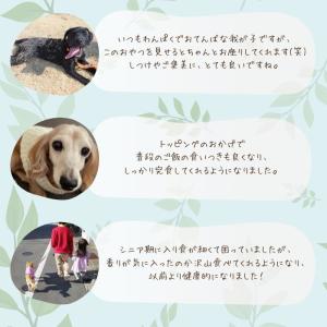 【獣医師監修】送料無料 無添加 国産 犬 おや...の詳細画像3