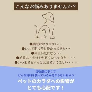 【獣医師監修】送料無料 無添加 国産 犬 おや...の詳細画像4