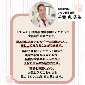 【獣医師監修】送料無料 無添加 国産 犬 おや...の詳細画像5