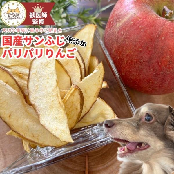 【獣医師監修】送料無料 無添加 国産 犬 おやつ りんご リンゴ 果物 フルーツ ドッグフード 犬の...