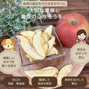 【獣医師監修】送料無料 無添加 国産 犬 おや...の詳細画像1