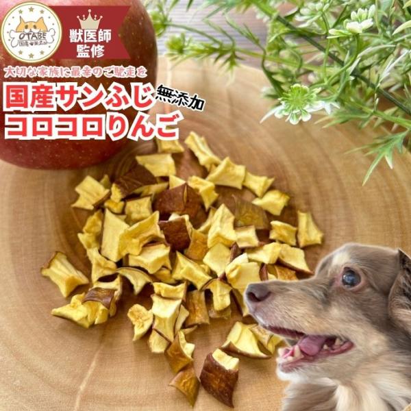 【獣医師監修】送料無料 無添加 国産 犬 おやつ りんご リンゴ 果物 フルーツ ドッグフード 犬の...