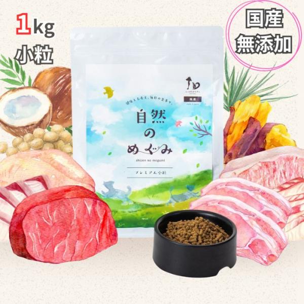 【獣医師監修】 送料無料 無添加 国産 犬 ドッグフード フード ご飯 餌 食べ比べ 1kg ペット...