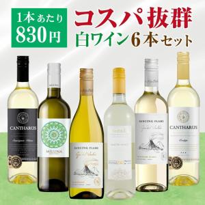 送料無料】コスパ最強赤白ワイン 12本セット 赤白 飲み比べ 詰め合わせ