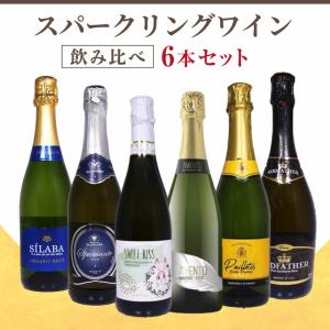 フランス シャンパーニュ 2010 エステルラン ブランドブラン
