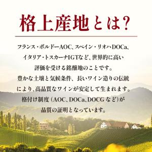 【全て格上産地】 金賞ボルドーワイン 12本セ...の詳細画像1