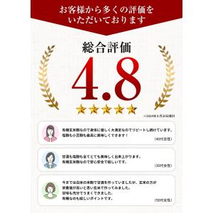有機玄米乾燥こうじ 300g 有機玄米麹 甘酒...の詳細画像3