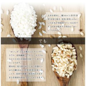 食べる米ぬか 200g(100g×2袋) 無添...の詳細画像4
