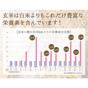 食べる米ぬか 200g(100g×2袋) 無添...の詳細画像5