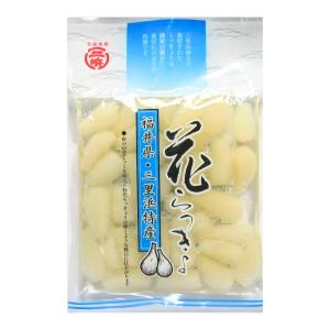 福井県三里浜産 三年子 花らっきょ 100g×...の詳細画像1