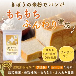 米粉 4kg (2kg×2袋) 減農薬栽培米使...の詳細画像2