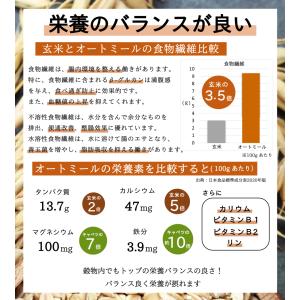ロールドオーツ オートミール 800g 計量ス...の詳細画像3