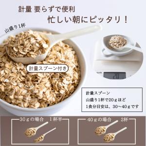 ロールドオーツ オートミール 800g 計量ス...の詳細画像5