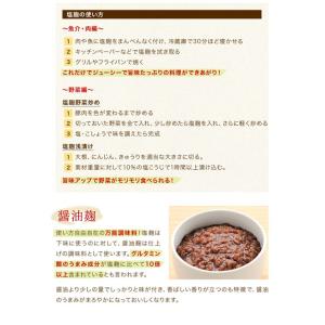 きぼうの米こうじ 800g(400g×2個) ...の詳細画像4