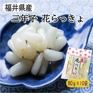 福井 らっきょう 花らっきょう 三年子 ８０ｇ×１０袋 三里浜 福井県産 甘酢漬け 国産 満天☆青空レストラン｜lwhana