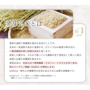 きぼうのアルファ化米粉 240g×1袋 国産 ...の詳細画像2