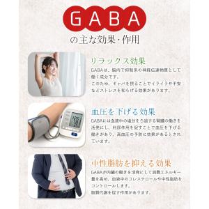 きぼうのアルファ化米粉 240g×1袋 国産 ...の詳細画像4