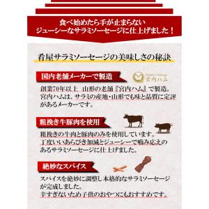 10%増量 サラミ ソーセージ 484g(24...の詳細画像4