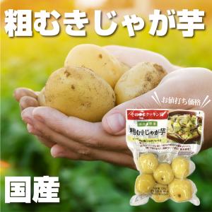 国産 粗むきじゃがいも ２３０g×６袋 ジャガイモ じゃが芋 常温保存 ボイル済み 水洗い不要 国内製造 規格外野菜 時短 便利 簡単調理 料理 下茹で野菜 送料無料