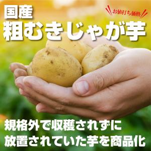 国産 粗むきじゃがいも 230g×6袋 ジャガ...の詳細画像2